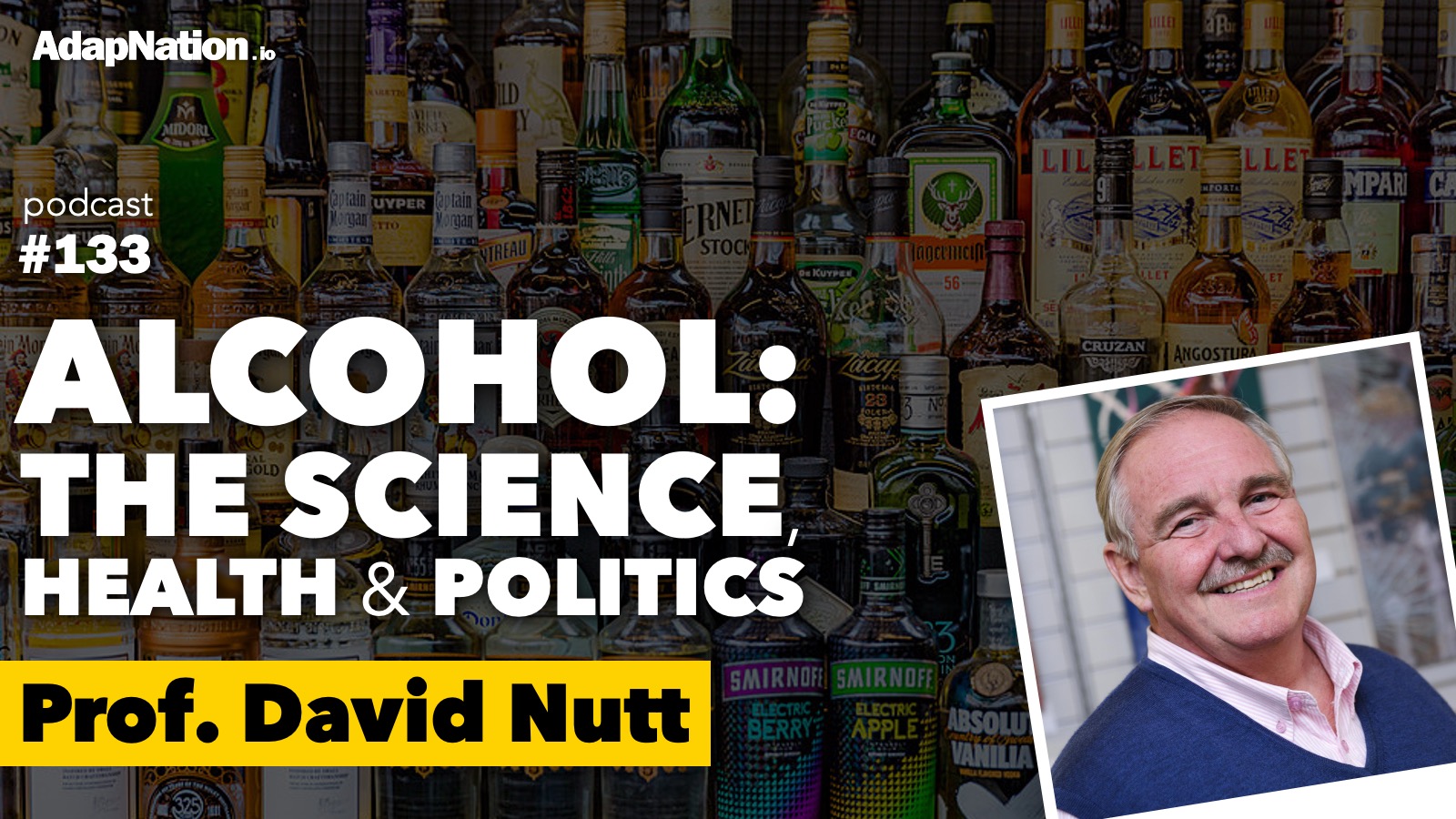 133 Alcohol The Science Health Politics Prof David Nutt